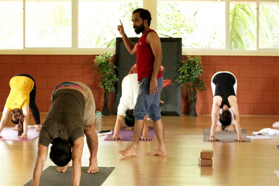 Vinyasa yoga Teacher Training - Janaury 2019-min